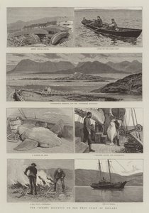 Fiskeindustrien på vestkysten av Irland